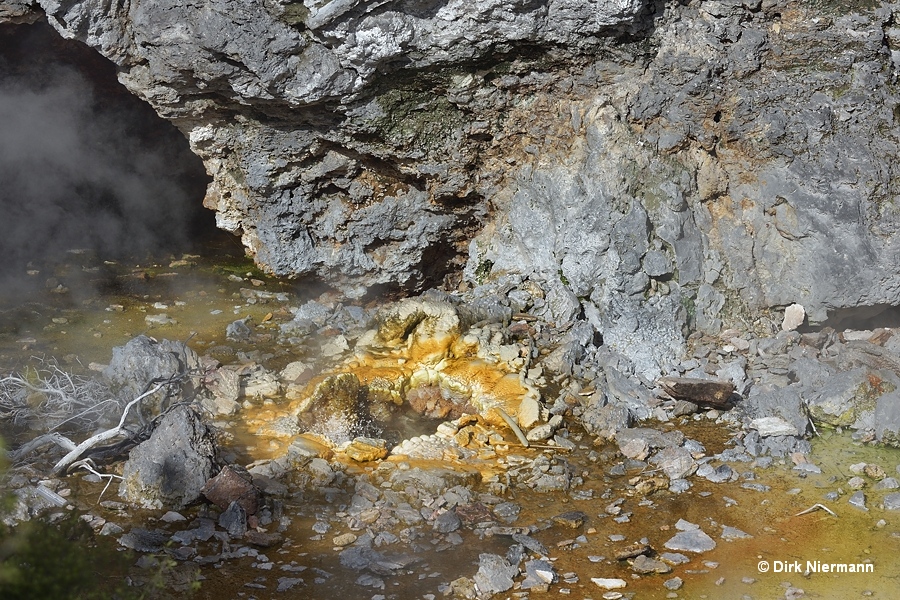 Spring in front of Te Hinau Cave