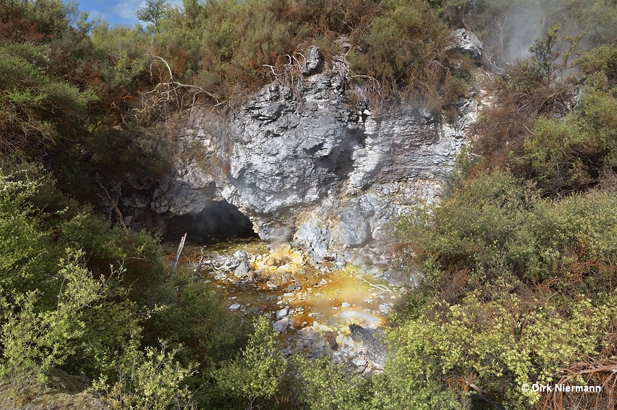 Springs in front of Te Hinau Cave