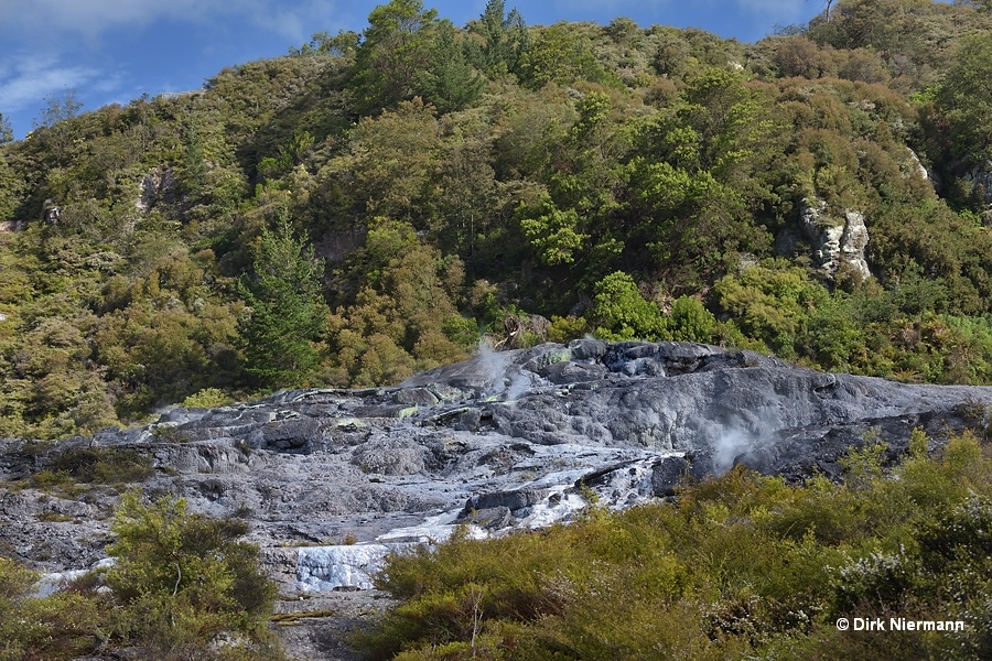 Waikite Geyser