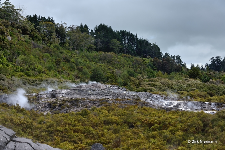 Waikite Geyser