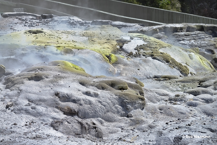 Waikorohihi Geyser