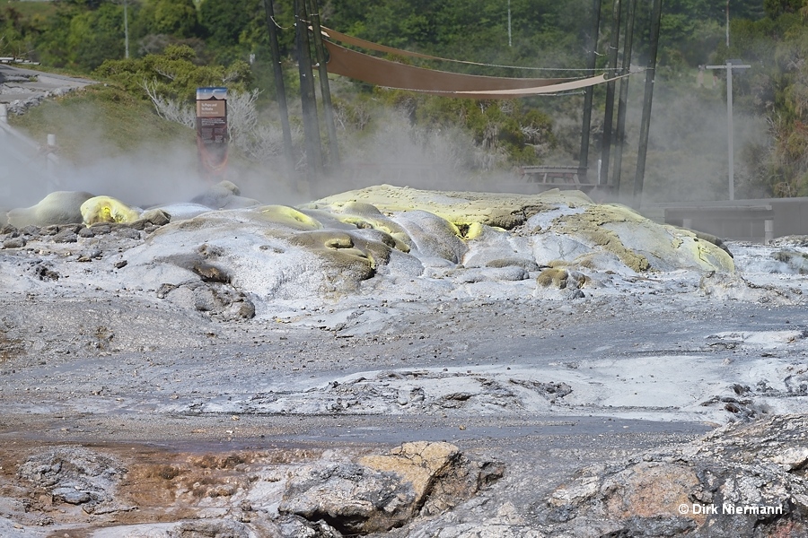 Waikorohihi Geyser