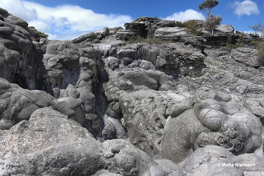 Wairoa Geyser