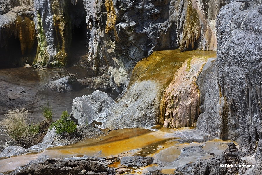 Sinter sub-structures at the bottom of Whakarewarewa Terrace