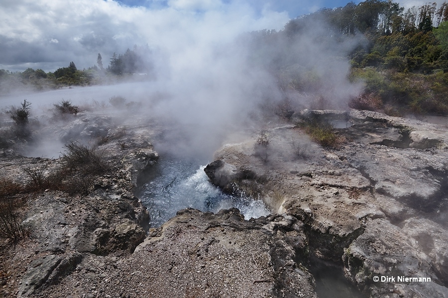 Geyser at Roto-a-Tamaheke