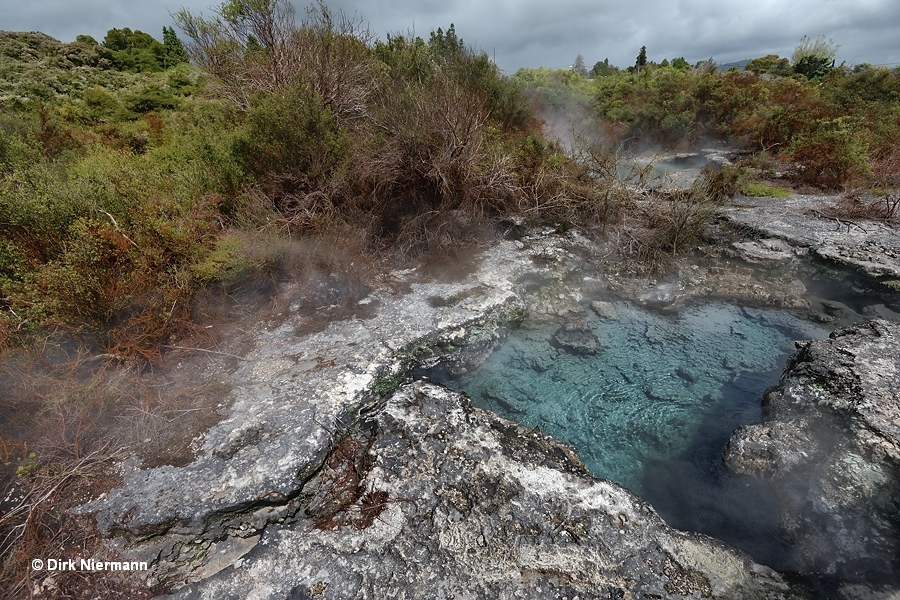 Blue spring north of Pahopeke