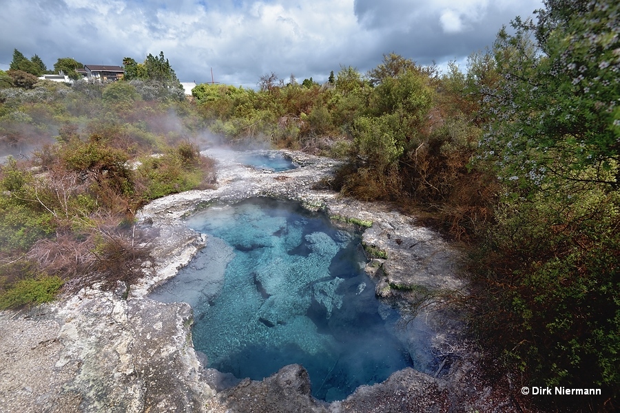 Blue springs north of Pahopeke