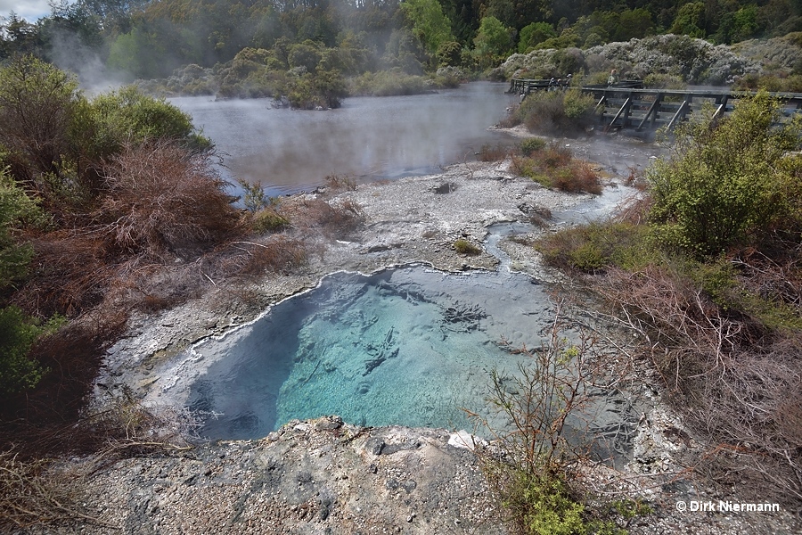 Blue spring at Roto-a-Tamaheke