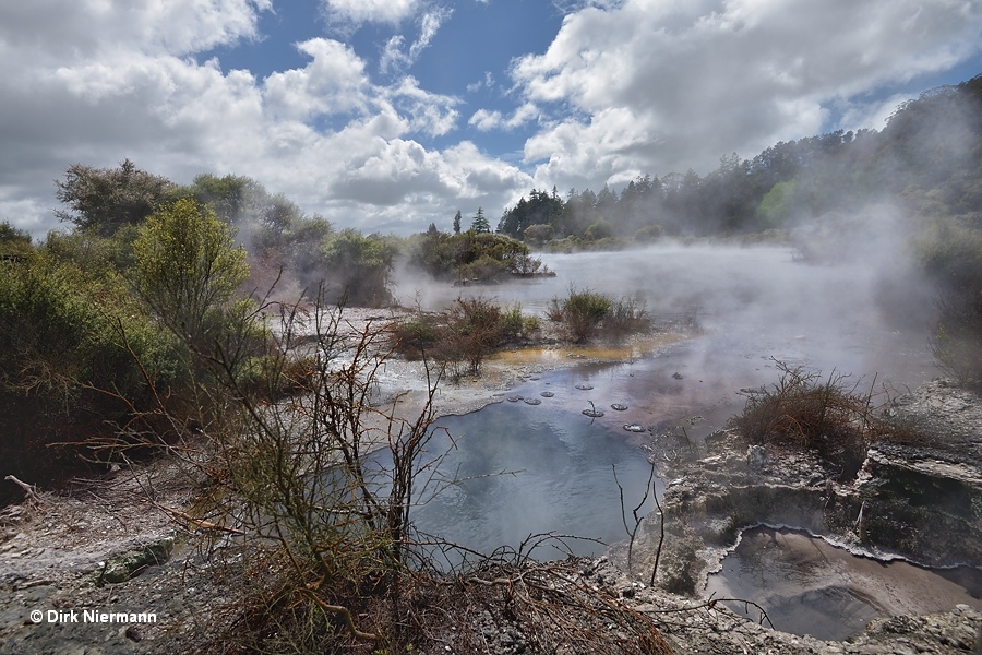 Hot springs at Roto-a-Tamaheke