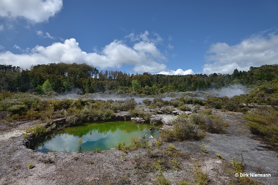 Hot spring north of Roto-a-Tamaheke