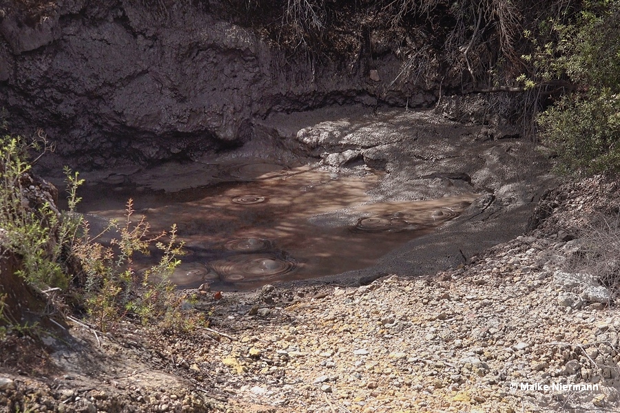 Mud pot east of Roto Kanapanapa