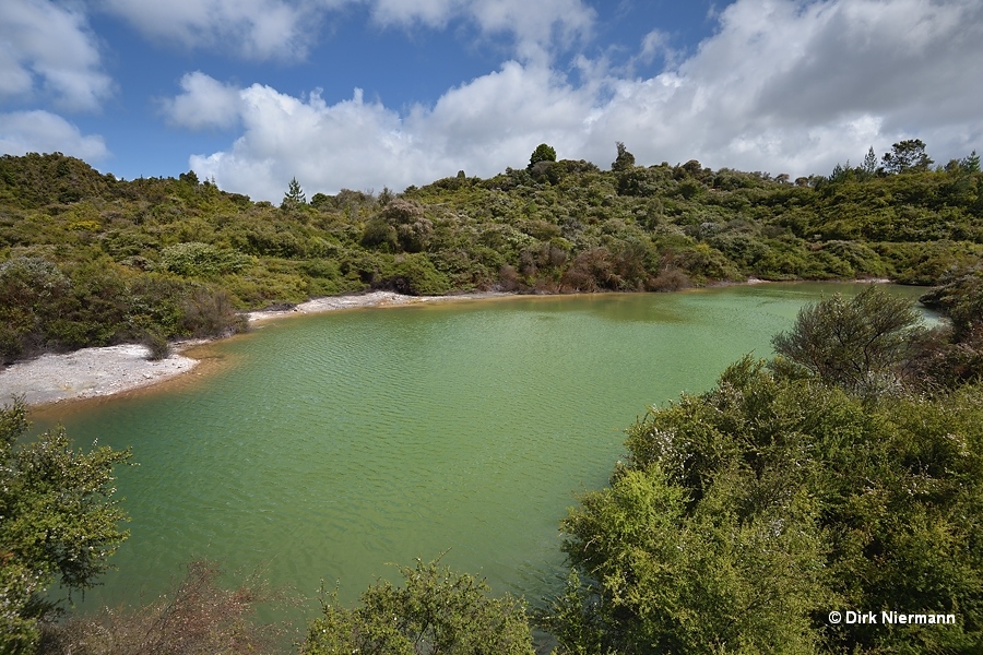 Roto Kanapanapa (Green Lake)