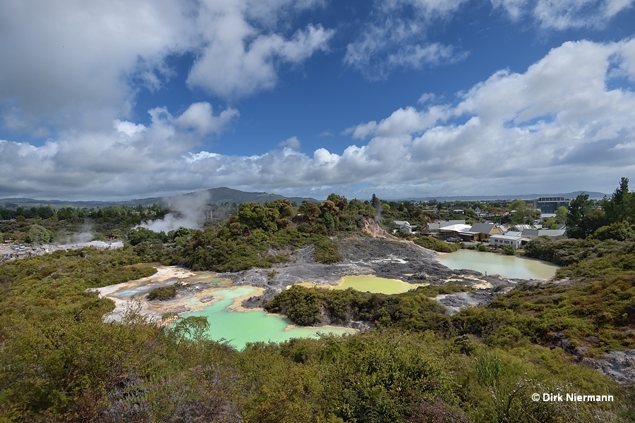 Te Kiri, Miri, and Pikopikowhiti