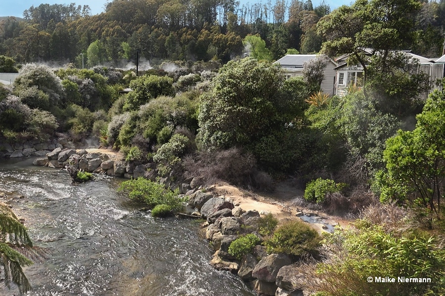 Site of Whakamanu Geyser at Puarenga Stream