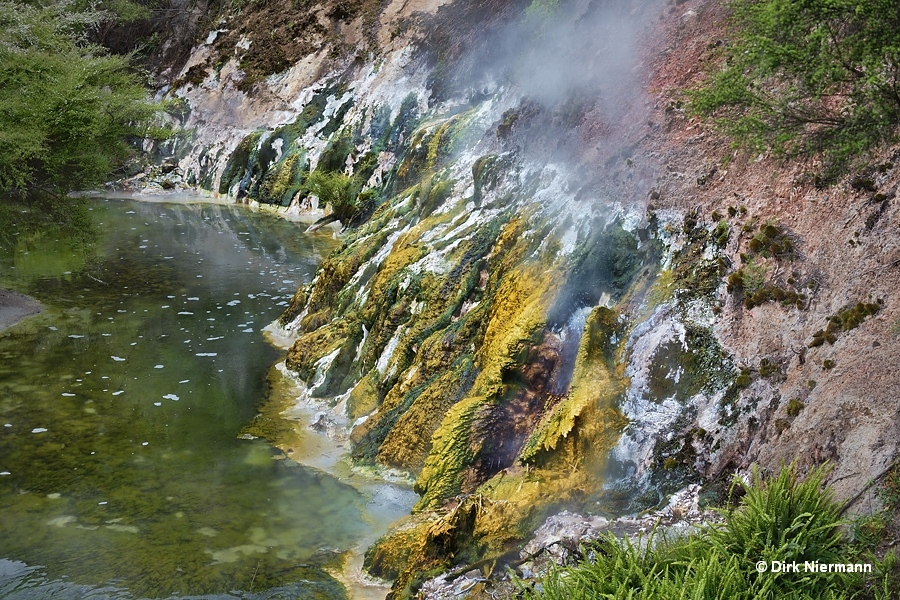 Springs at Hot Water Creek close to the bridge