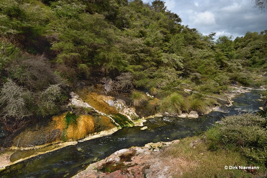 Sinter terrace at Hot Water Creek