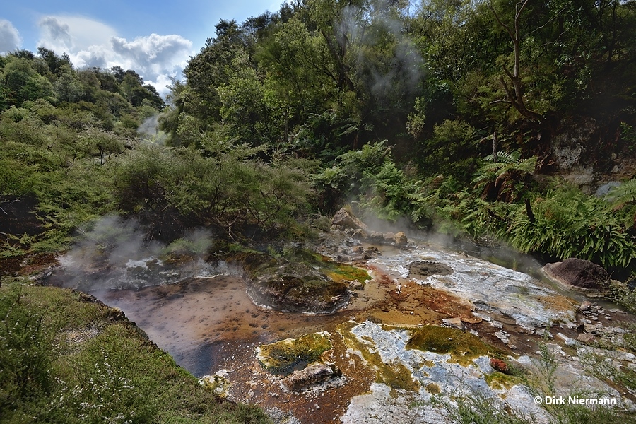 Te Ara Mokoroa Terrace