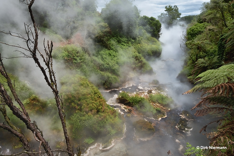 Otamakokore Stream