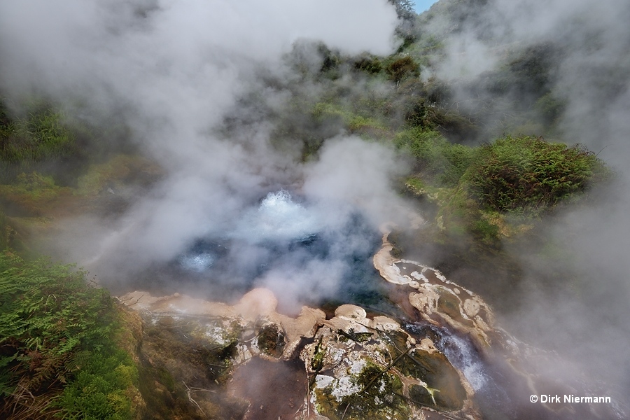 Te Manaroa Spring erupting