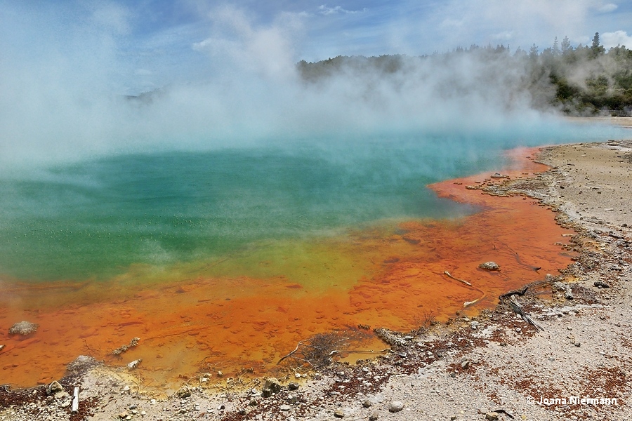 Champagne Pool