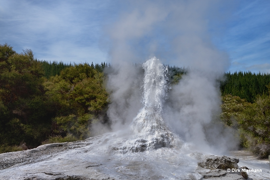 Lady Knox Geyser starting