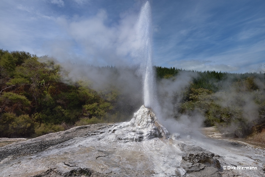 Lady Knox Geyser erupting