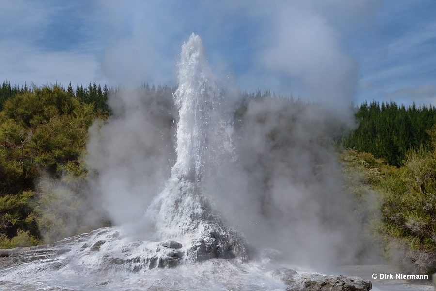 Lady Knox Geyser erupting