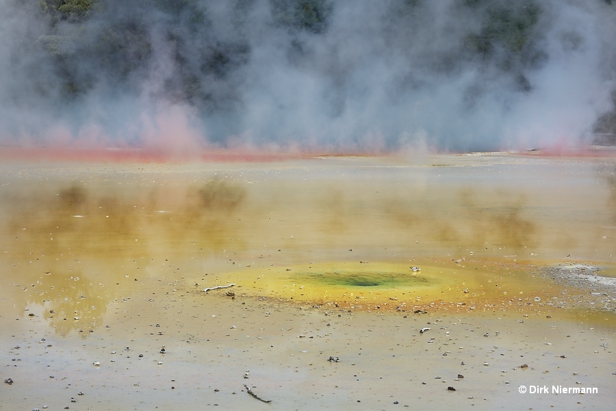 NW Boardwalk Geyser