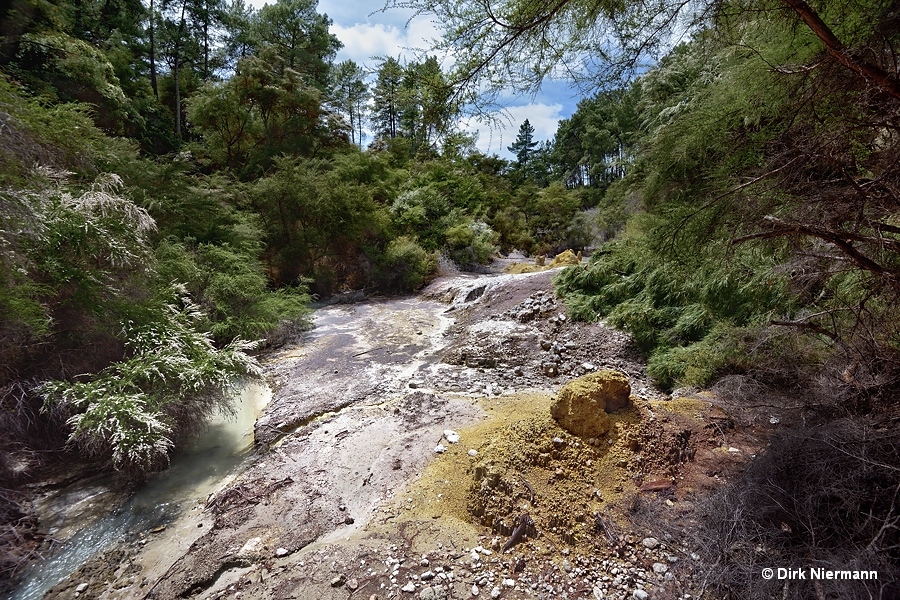 Puke Whānāriki, Sulphur Mounds