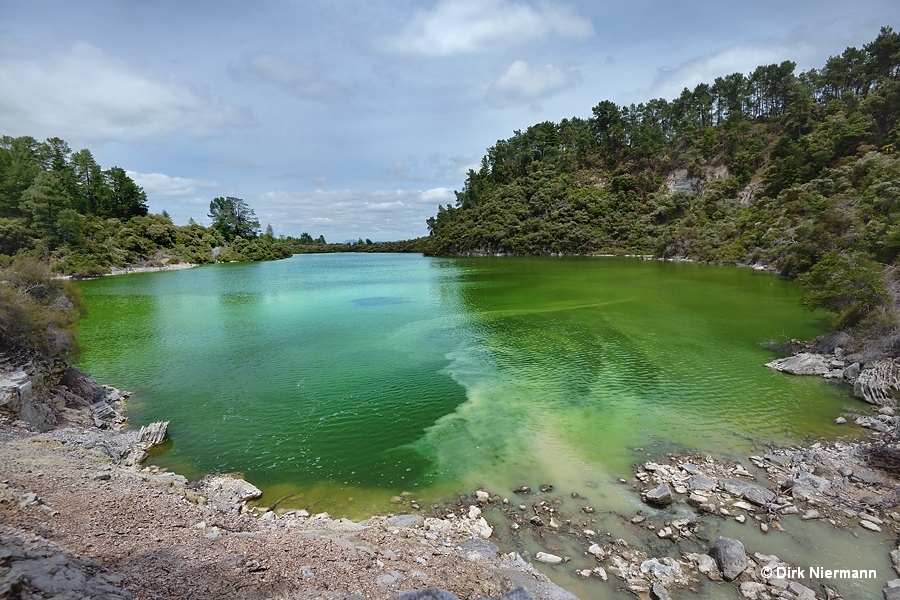 Lake Ngakoro at the cofluence of the waterfall