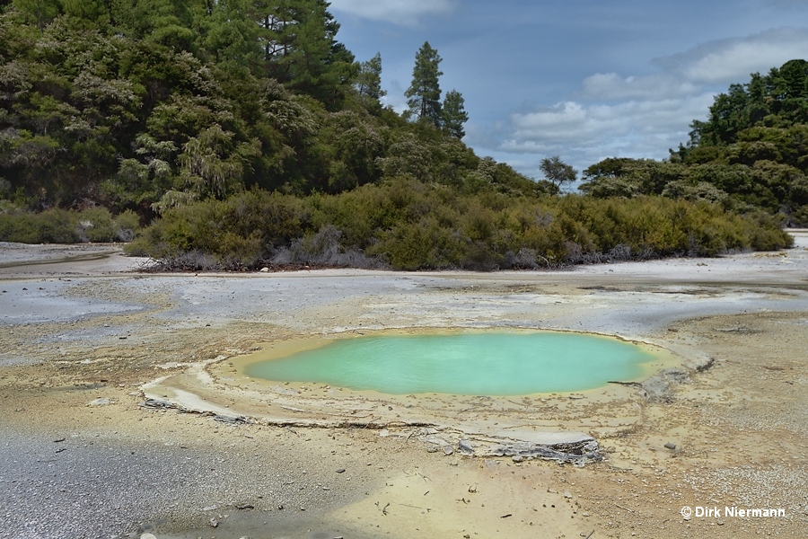 Te Puna Tio, Oyster Pool