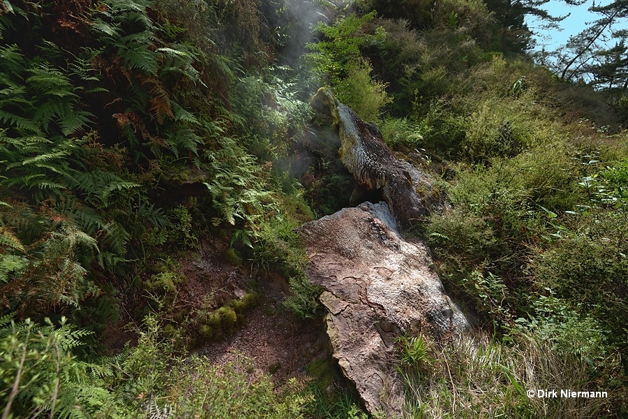 Dragon's Mouth Geyser