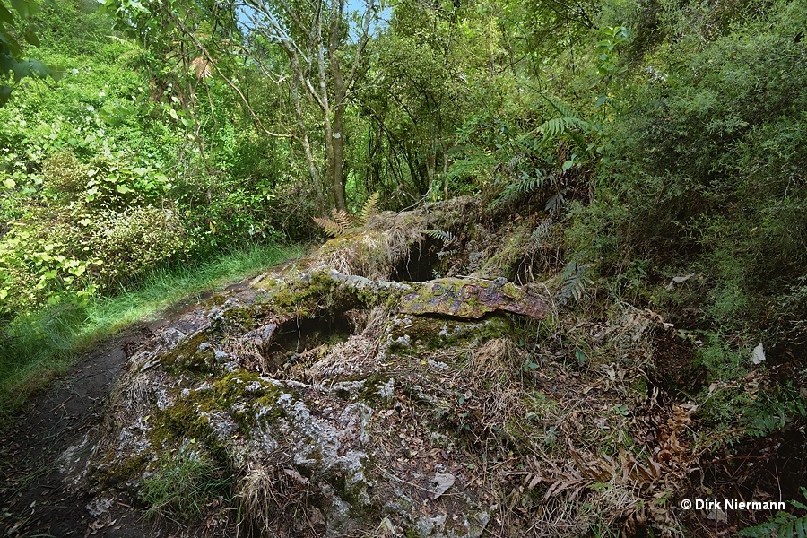 Eagle's Nest Geyser