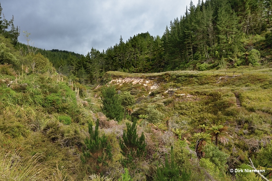 Geyser Valley of Wairaikei