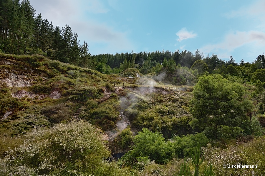 Wairakei Natural Thermal Valley