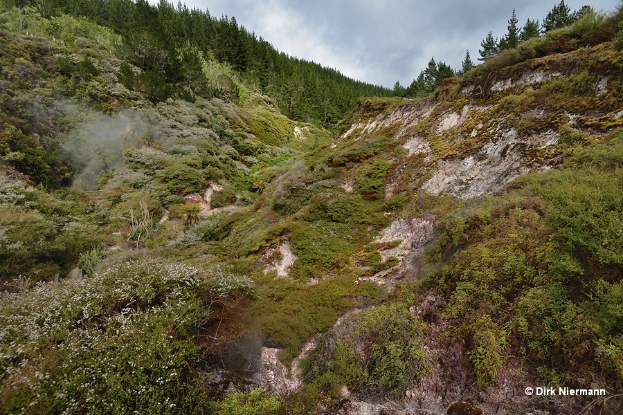 Wairakei Geothermal Valley