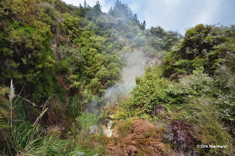 Champagne Pool - The Witches Cauldron