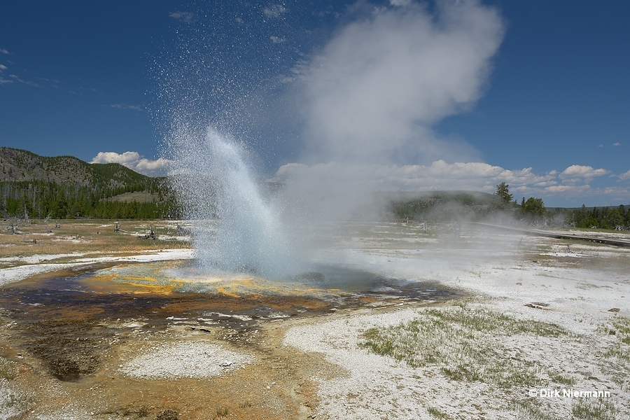 Jewel Geyser Yellowstone