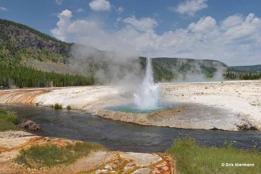 Cliff Geyser Yellowstone