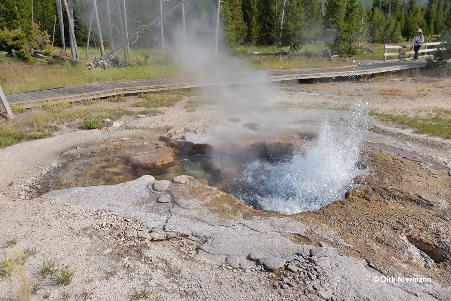 Jagged Spring Yellowstone