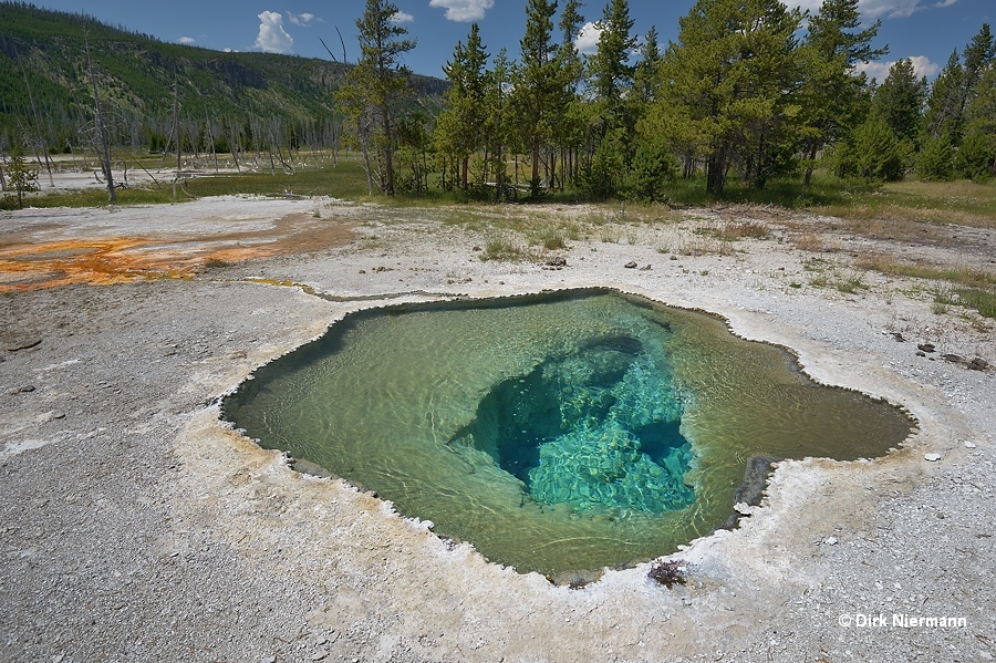 Pentagonal Spring Yellowstone