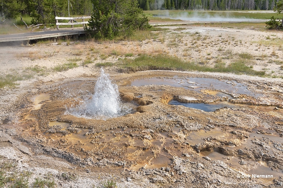 Ragged Spring Yellowstone