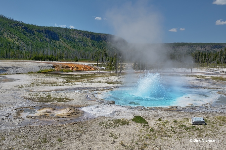 Spouter Geyser Yellowstone