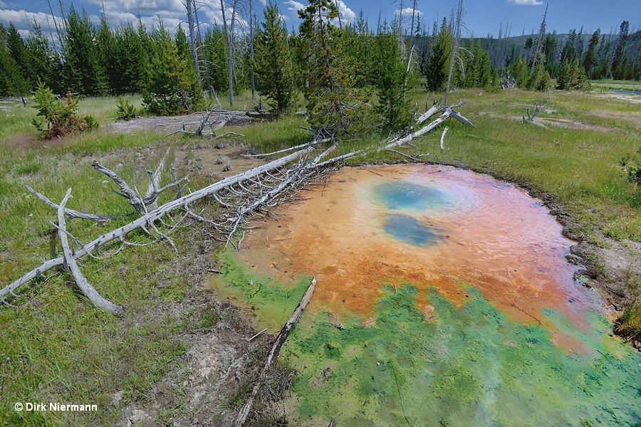 Spouter at Black Sand Basin Yellowstone