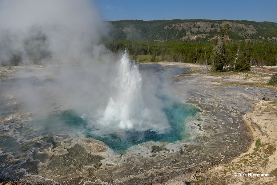 Artemisia Geyser Yellowstone