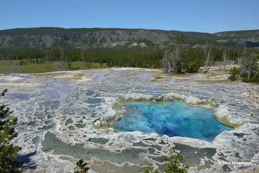 Artemisia Geyser Yellowstone