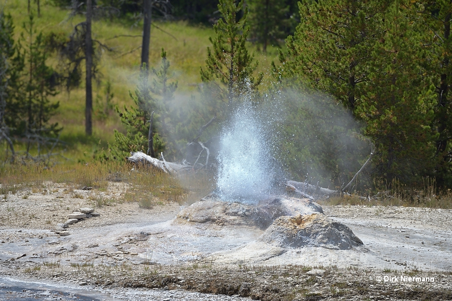 Atomizer Geyser Yellowstone