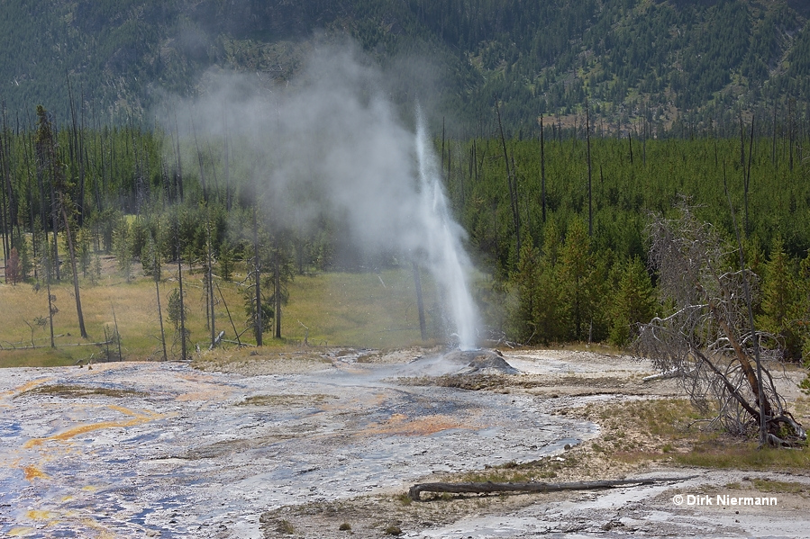 Atomizer Geyser Yellowstone