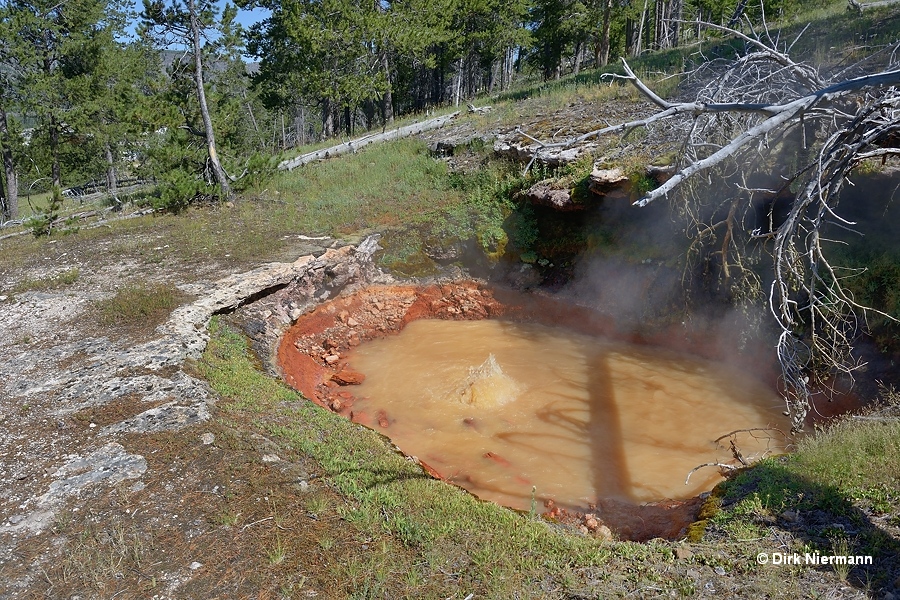 Iron Spring Yellowstone