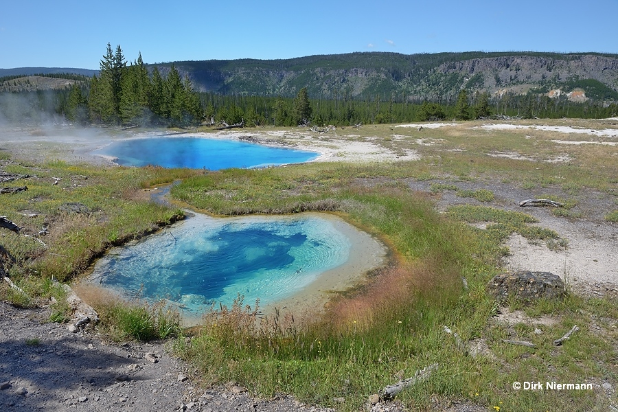 Pinto Spring Yellowstone